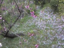 b0054391_1459526.jpg