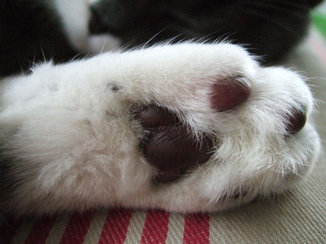 f0032020_16425312.jpg