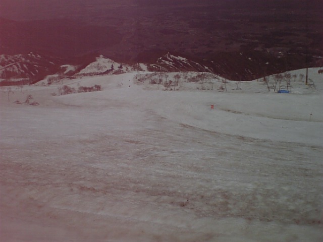 c0054838_21541725.jpg