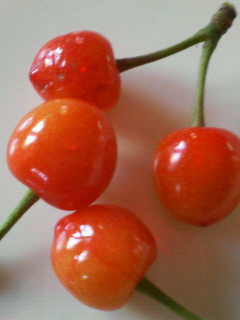 f0088647_18474929.jpg