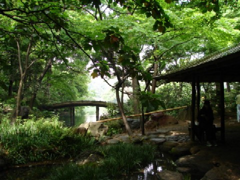 b0061261_2194715.jpg