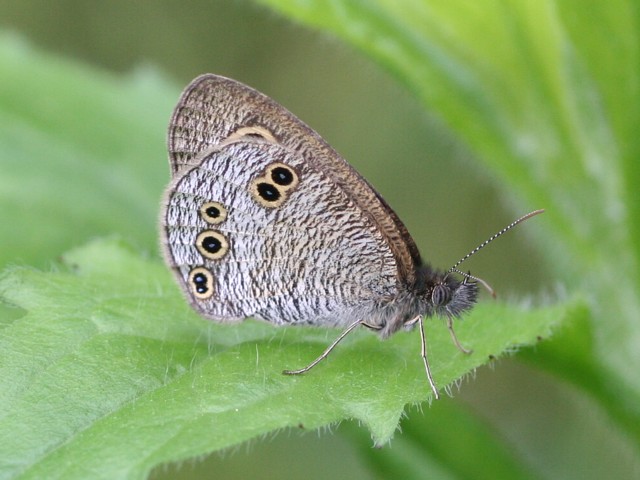 b0088772_2238478.jpg