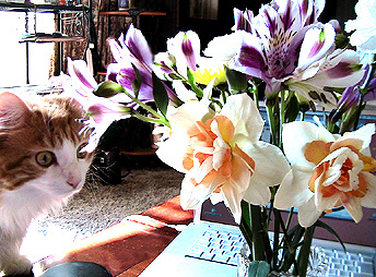 c0016987_0121216.jpg