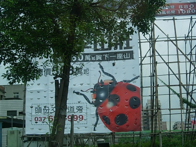 a0045688_1394394.jpg