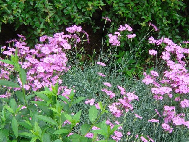 f0006390_17345955.jpg