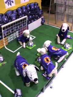 e0067502_3252641.jpg