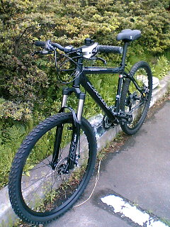 a0028803_1440417.jpg