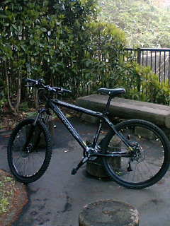 a0028803_1440479.jpg