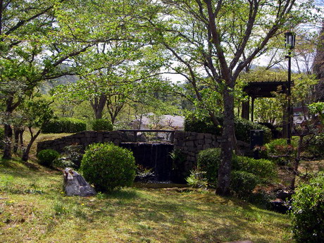 f0100505_155596.jpg