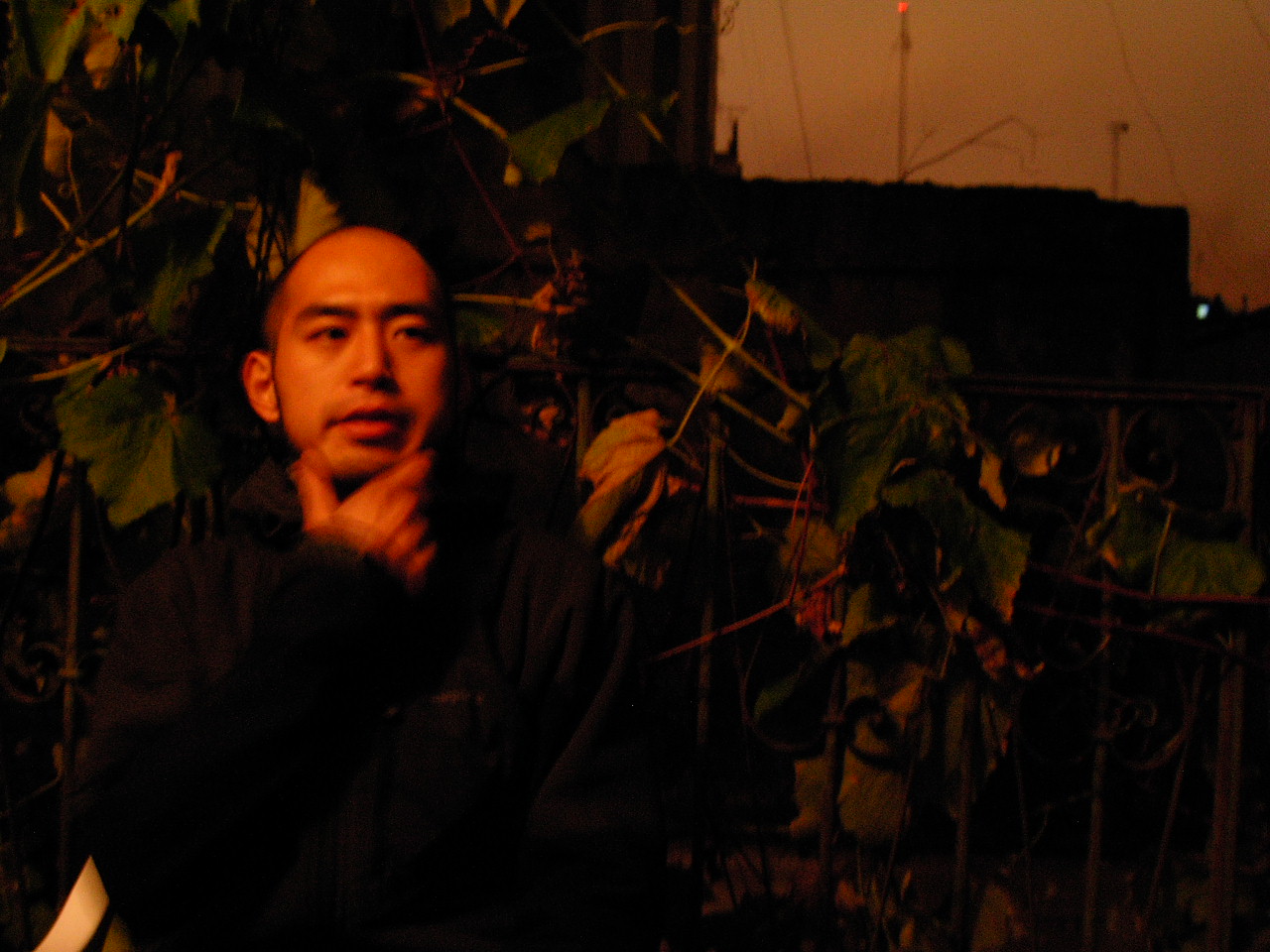 d0035721_4202252.jpg