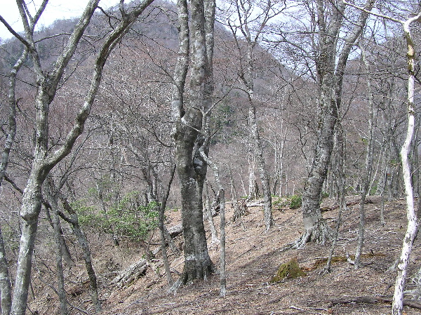 f0103126_1958574.jpg