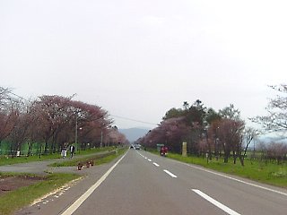 e0064128_21334125.jpg