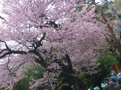 b0084331_23214550.jpg