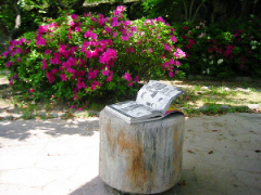 d0017632_10485695.jpg