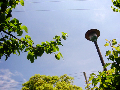 d0017632_105258100.jpg