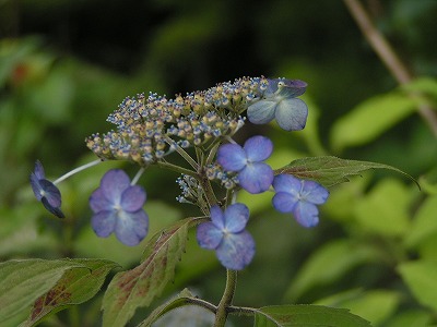 b0078137_2231768.jpg