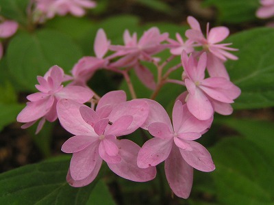 b0078137_22385489.jpg
