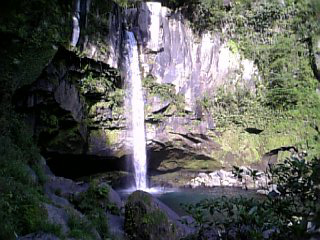 c0056237_118268.jpg