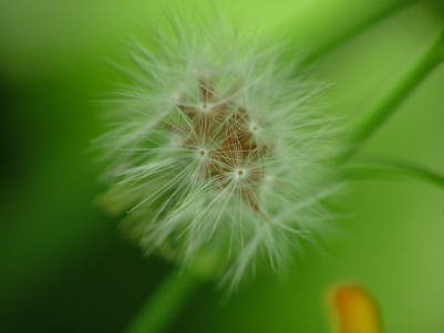 e0081339_9362021.jpg