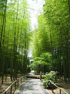 f0045956_2050132.jpg