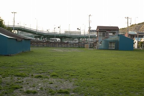 e0072159_252443.jpg