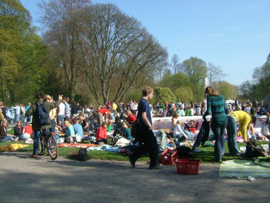 e0079166_232953.jpg