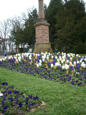 e0079166_2344671.jpg