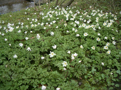 e0079166_2351349.jpg