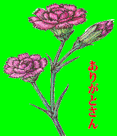 f0003174_13124637.gif