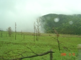 f0066076_2226241.jpg