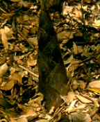 f0100480_18361846.jpg