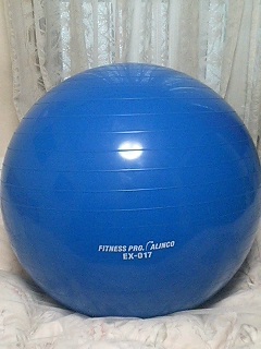 c0014282_2012010.jpg