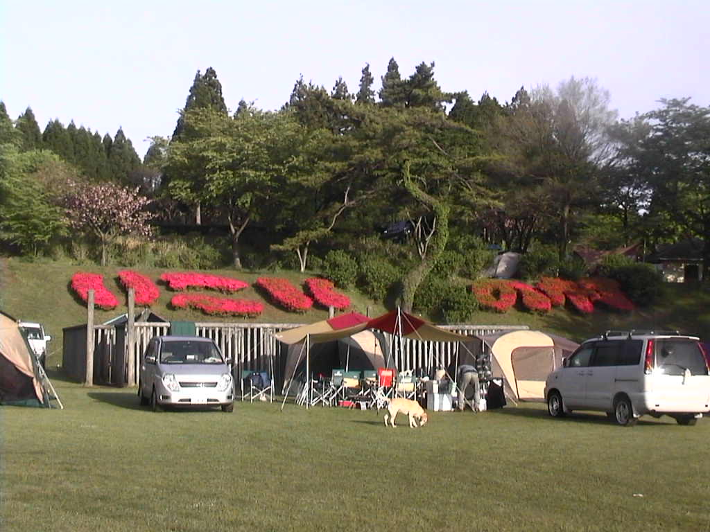 e0086088_1829207.jpg