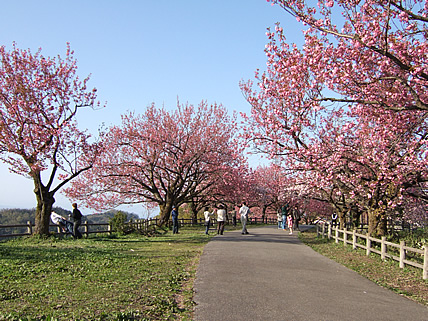 f0103693_07053.jpg