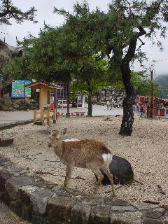 d0004195_13525924.jpg