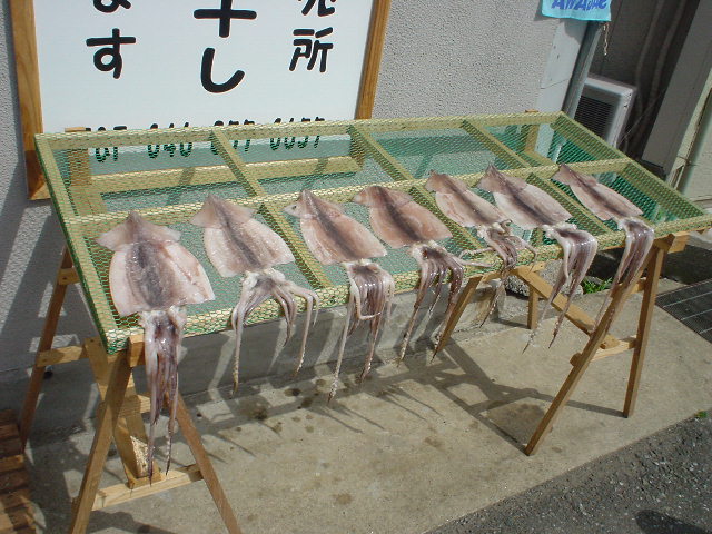 c0008598_18104937.jpg