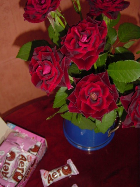 b0083902_20222212.jpg
