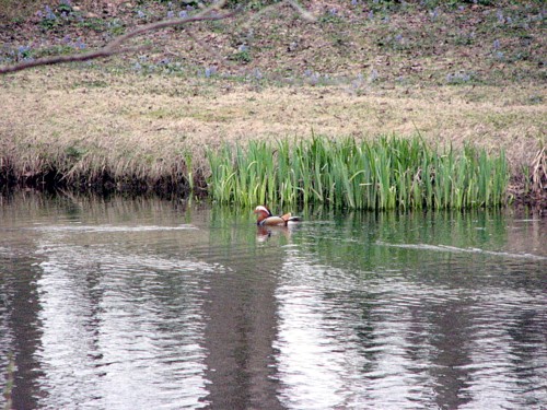 f0020302_962385.jpg