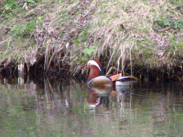 f0020302_982720.jpg