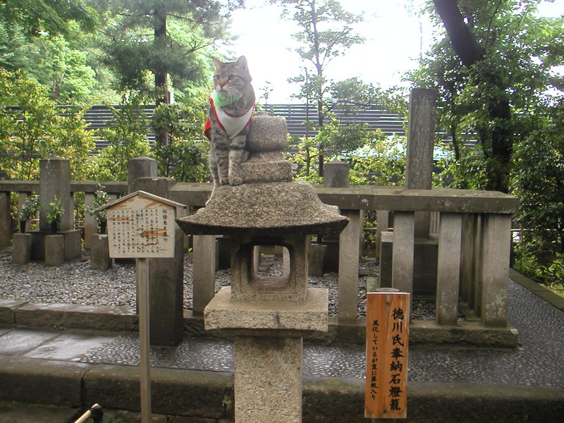 e0031605_16451523.jpg