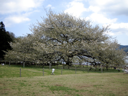 b0046210_0393235.jpg