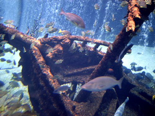 b0046210_042424.jpg