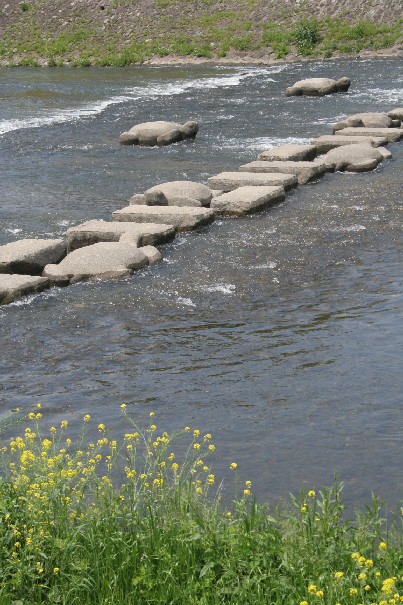 b0018112_14132141.jpg