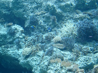 d0063615_22415667.jpg