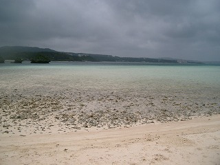 d0063615_22461447.jpg