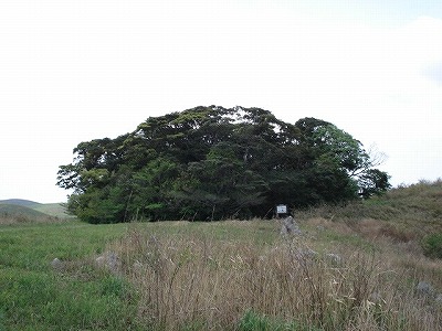 c0038334_20102557.jpg