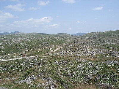 c0038334_2010656.jpg