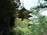 c0038334_2059256.jpg