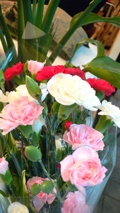 e0024944_1727973.jpg