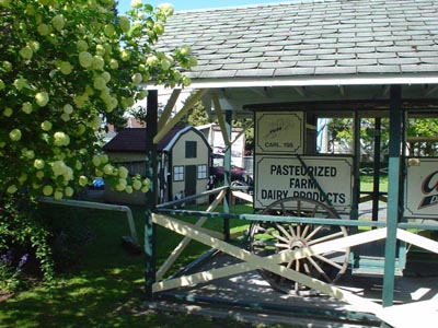 e0016845_14204869.jpg